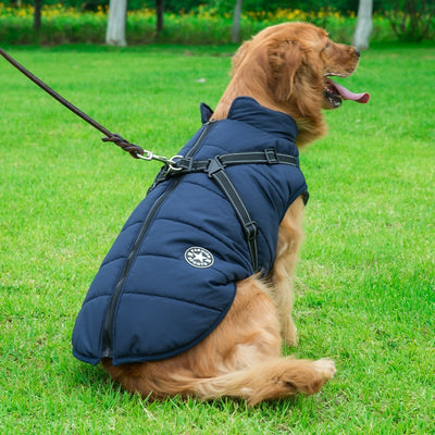 Waterproof Dog Coat – Warm Winter Dog Jacket with Adjustable Fit