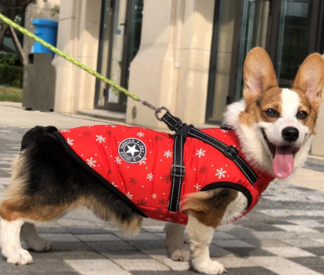 Waterproof Dog Coat – Warm Winter Dog Jacket with Adjustable Fit