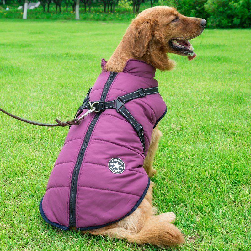 Waterproof Dog Coat – Warm Winter Dog Jacket with Adjustable Fit