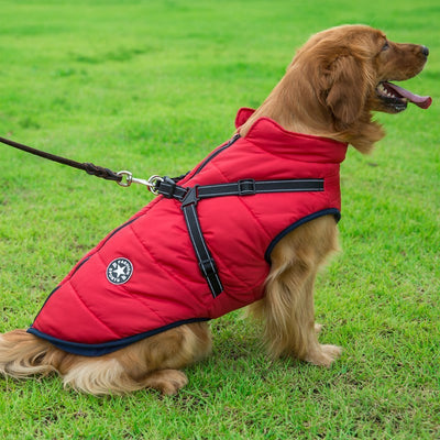 Waterproof Dog Coat – Warm Winter Dog Jacket with Adjustable Fit